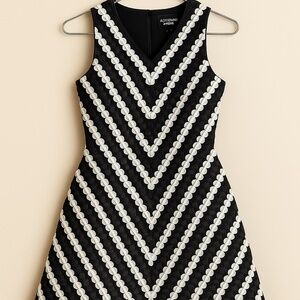 Adrienne Papell Black & White Chevron Appliqué Fit & Flare Dress